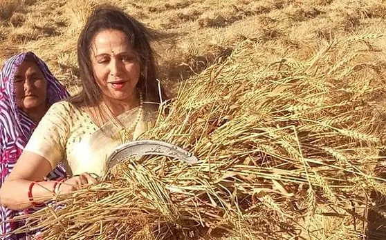 'ड्रीम गर्ल' हेमा मालिनी ने काटी गेहूं की फसल, दंग रह गईं मथुरा की महिलाएं, देखें तस्‍वीरें