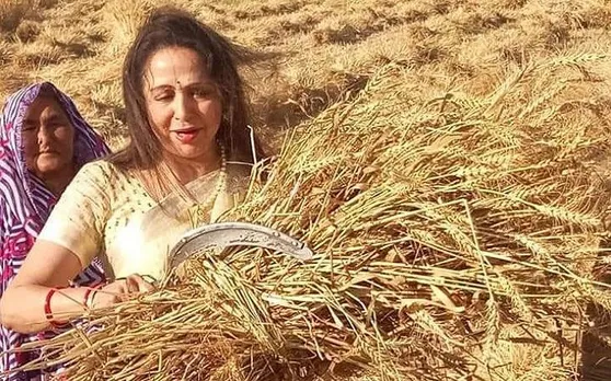 Loksabha Election 2019 : खेत में फसल काटने के बाद अब हेमा मालिनी ने चलाया ट्रैक्टर, देखें Photo