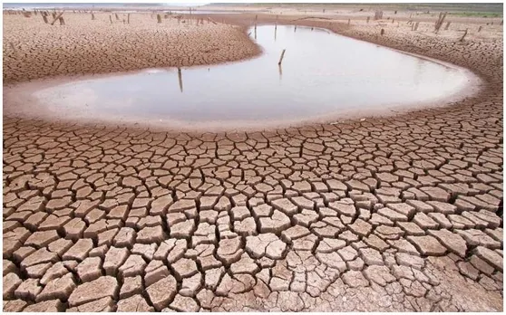 DEWS ने बताया देश का 42 प्रतिशत भाग है सूखे की चपेट में, जानिए पिछली साल कितना था ये आंकड़ा