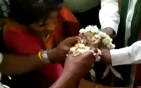 VIDEO : कर्नाटक में धूमधाम से कराई मेंढ़क की शादी, जानें क्या है वजह
