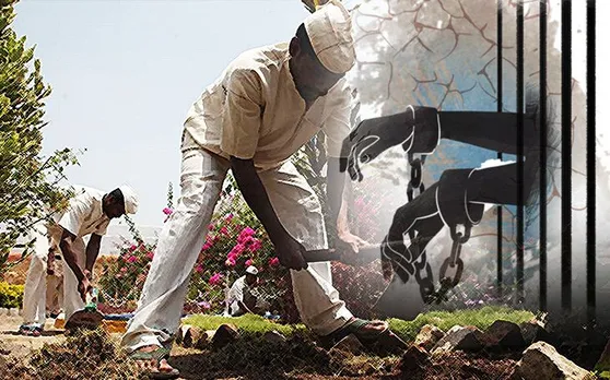 गणतंत्र दिवस पर की थी हवाई फायरिंग, कोर्ट ने 100 पेड़ लगाने और देखभाल का दिया आदेश