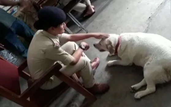 पुलिस चौकी बना कुत्ते 'सुल्तान' का आशियाना, पुलिसवाले कर रहे हैं खातिरदारी, जानें क्यों