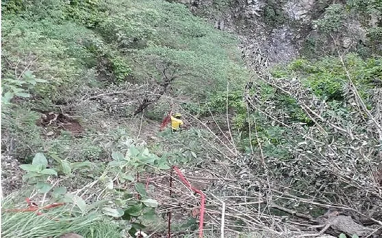 उत्तराखंड: देहरादून में खाई में गिरी कार, 5 लोगों की मौके पर ही मौत