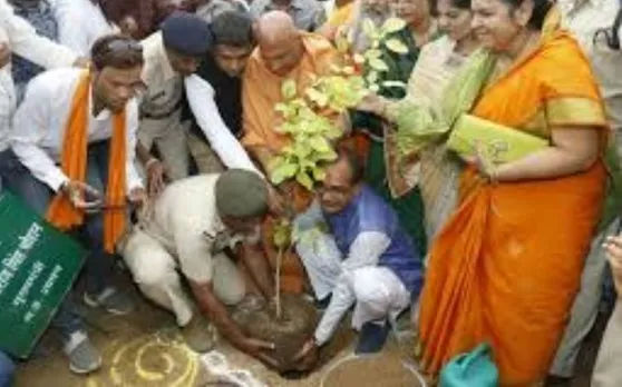 मध्य प्रदेश में 7 करोड़ पौधे रोपने पर 499 करोड़ खर्च हुए थे, अब 4 मंत्री करेंगे जांच