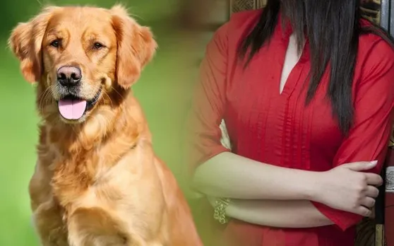 220 पुरुषों के साथ डेट कर चुकी ये मॉडल अब कुत्ते से करेगी शादी, इस दिन जाएगी हनीमून पर