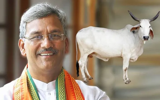 BJP प्रदेश अध्यक्ष के बाद अब मुख्यमंत्री ने कहा, - 'ऑक्सीजन छोड़ने वाला एकमात्र पशु है गाय'