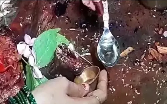 सावन के महीने में चमत्कार, भगवान शिव की सवारी नंदी पी रहे दूध और पानी