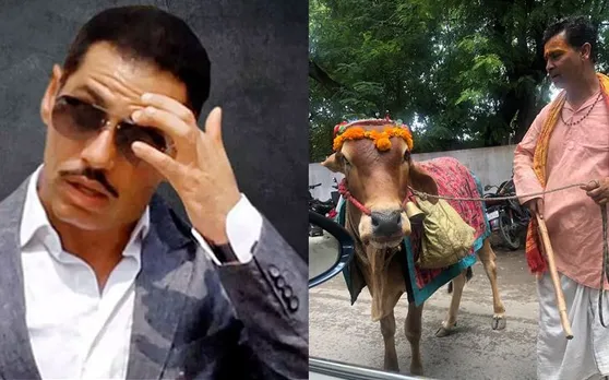 Robert Vadra को मिली है भविष्य बताने वाली गाय, सोशल मीडिया पर शेयर की ये तस्वीर
