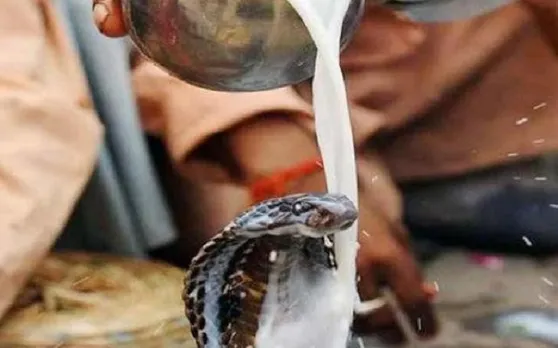 Nag Panchami 2019: इस बार नागपंचमी पर बन रहा यह दुर्लभ योग, ऐसे करें पूजा