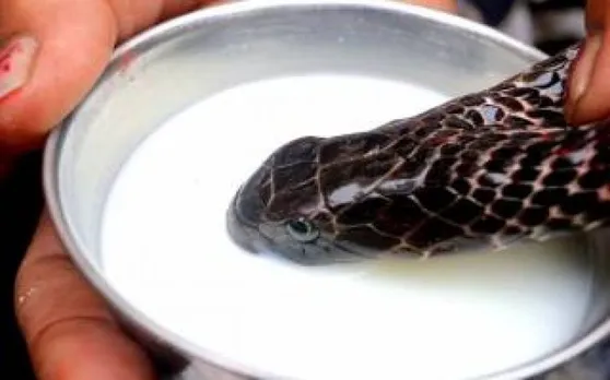 Nag Panchami 2019: इस नाग पंचमी पर बन रहा है खास संयोग, इस विधि से करें पूजा