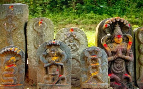 Nag Panchami 2019: नागपंचमी पर इस बार दुर्लभ संयोग, जानें पूजन विधि और शुभ मुहुर्त