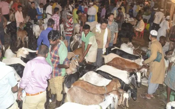 बकरीद से पहले वाराणसी में सजी पूर्वांचल की सबसे बड़ी बकरा मंडी