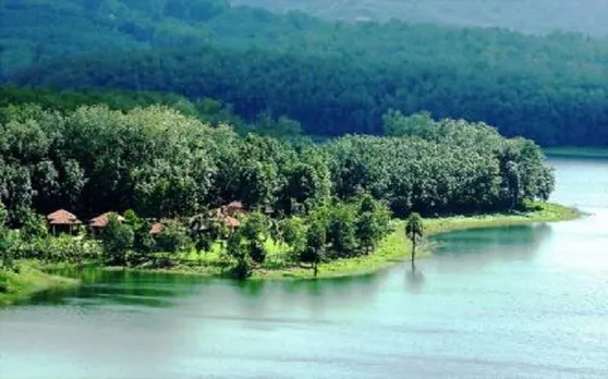 उत्तर प्रदेश में नदियों के किनारे चलेगा पौधारोपण अभियान, होगा इतना बड़ा फायदा