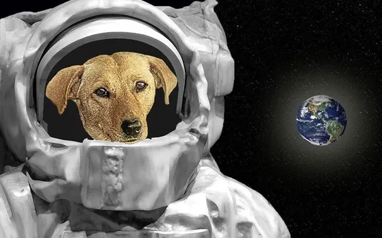 कुत्तों का Space Mission, अंतरिक्ष पहुंच Hero बन गए ये जानवर
