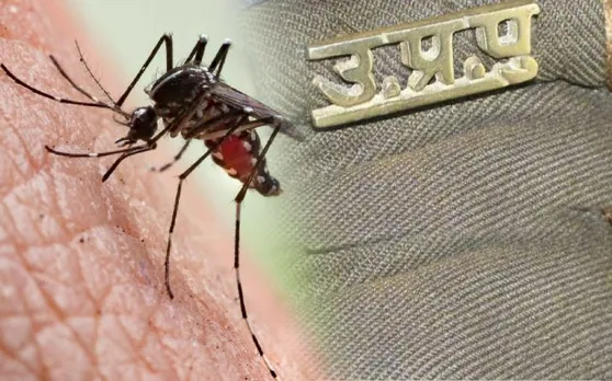 साहब! जबरन काट कर भाग जाते हैं मच्छर, कान में आकर देते हैं धमकी