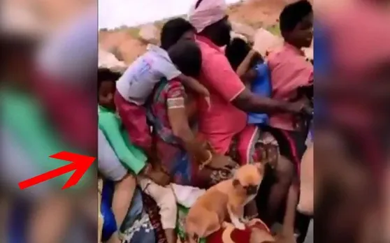 बाइक पर एक-दो नहीं बल्कि 7 लोग हैं सवार, तीन जानवर भी कर रहे सफर, Video देख चक्कर खा जाएंगे आप