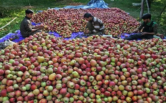ऑर्टिकल 370 के निष्प्रभावी होने के बाद अब सेब उत्पादकों के खातों में सीधे ट्रांसफर होंगे रुपये