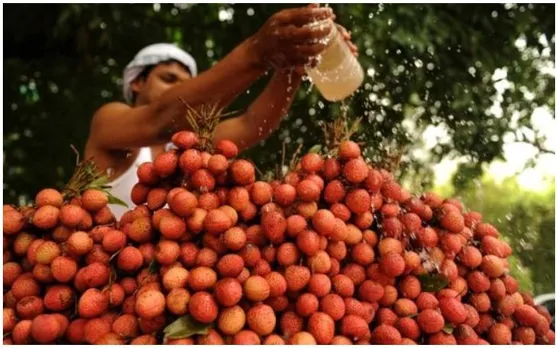 अब देश विदेश में और भी चर्चित होगी बिहार की लीची, बढ़ेगी मिठास