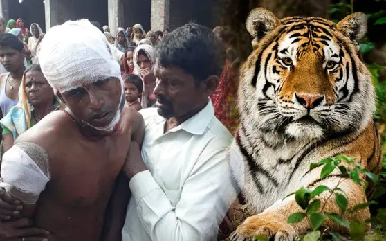 बेटे पर हमला हुआ तो बचाने के लिए बाघ से लड़ गया पिता, फिर...