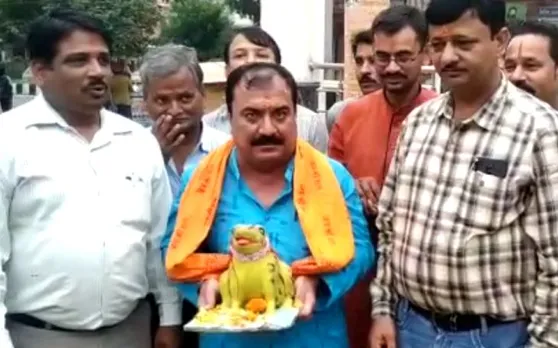 मध्य प्रदेश बारिश रोकने के लिए कराया गया मेंढक-मेंढकी का तलाक