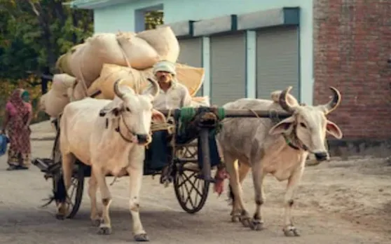 अजीबोगरीब! ट्रैफिक पुलिस ने काट दिया बैलगाड़ी का चालान, लगाई अबीमाकृत वाहन की धारा