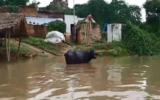 चंबल में आई बाढ़ से एक दर्जन गांव प्रभावित, घरों के बीच में चल रही नाव