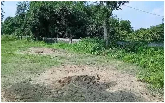 कब्र में दफन महिला के शव से सर काट कर ले गया कोई, इलाके में मची सनसनी