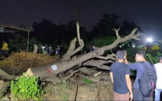 #Aarey आरे जंगल में पेड़ों को कटता देख बॉलीवुड सेलेब्स का फूटा गुस्सा, जाहिर की अपनी नाराजगी