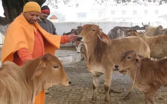 आज CM योगी पहुंचेंगे गोरखपुर, 5 दिनों तक निभाएंगे 'पीठाधीश्वर' की भूमिका