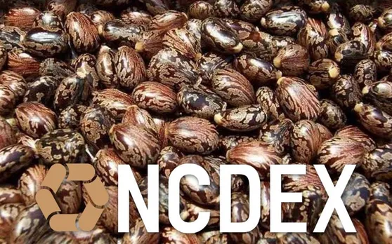 कैस्टरसीड (Castorseed) को लेकर एनसीडीईएक्स (NCDEX) की साख पर उठे सवाल