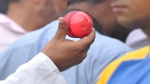 pink ball test