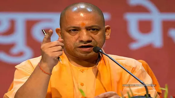 yogi