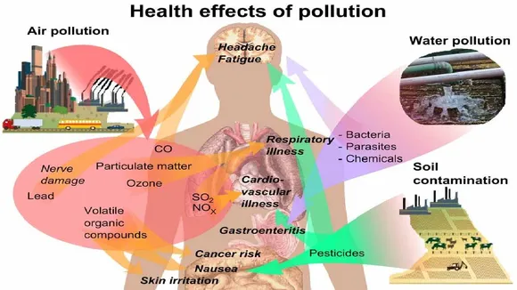 Pollution In Delhi-NCR: जानें आपके किन-किन अंगों को है प्रदूषण से खतरा