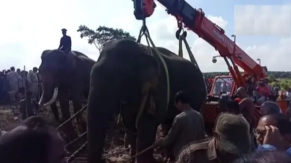 5 लोगों की हत्या के आरोप में लादेन गिरफ्तार! क्रेन से उठाकर ट्रक में लादकर ले गए अधिकारी