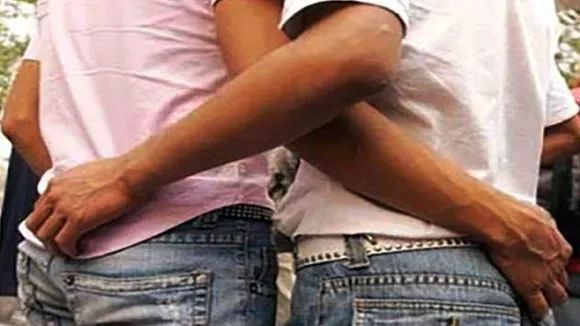 HOMOSEXUAL AFFAIR