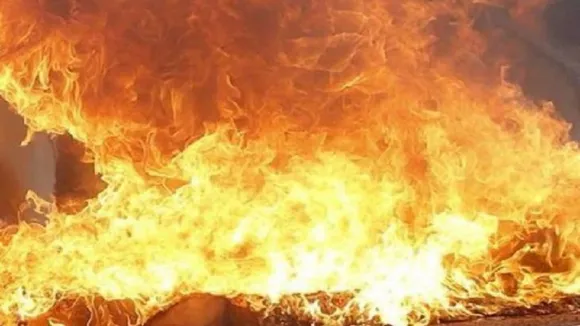 Delhi Fire: अनाज मंडी में लगी भयानक आग, 45 की मौत, मकान मालिक रेहान को किया गिरफ्तार