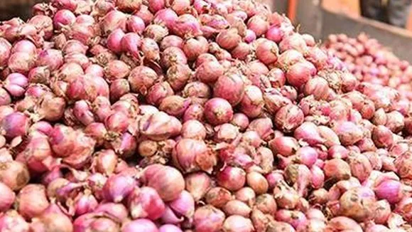 यहां 25 रुपए किलो प्याज बेच रहे थे कांग्रेसी कार्यकर्ता, बंदरों की फौज ने मचाई लूट