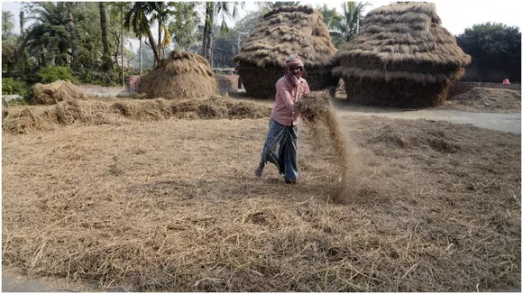 महाराष्ट्र, बिहार, कर्नाटक में बाढ़ से 6 फीसदी फसल चौपट, क्रिसिल (CRISIL) की रिपोर्ट