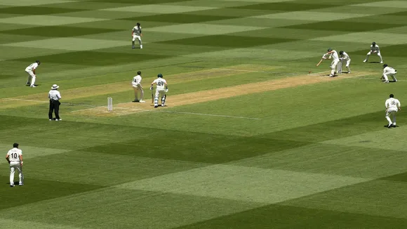 cricket