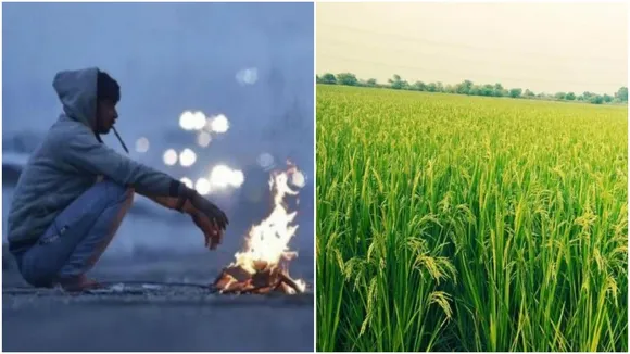 दिल्ली सहित पूरे उत्तर भारत में सर्दी का सितम जारी, फसलों पर पड़ रहा असर