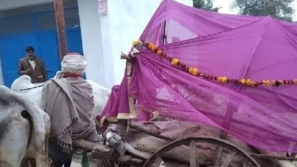 उत्तर प्रदेश में गाय की निकली शवयात्रा, किया गया अंतिम संस्कार