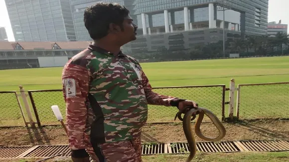 मुंबई-कर्नाटक मैच के दौरान मैदान पर मिले सांप से मचा हड़कंप, वायरल हुई तस्वीर