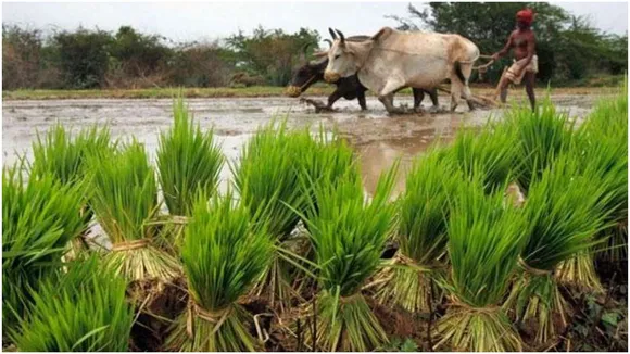 Farming