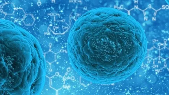 Coronavirus: इस कारण से चीन में फैल रहा कोरोना वायरस, शोध में हुआ खुलासा