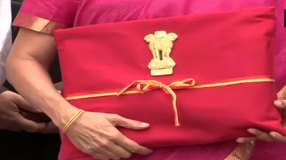 Budget 2020: पिछली बार निर्मला सीतारमण ने बही-खाता पेश किया था तो इस बार क्या होगा नया नाम