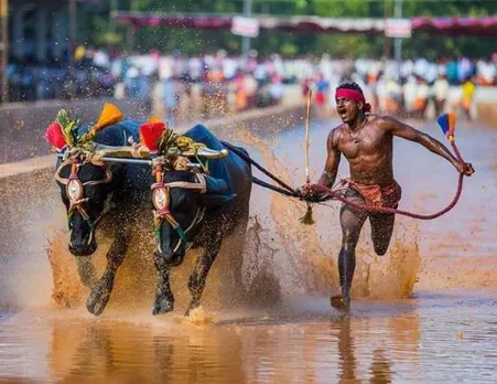 उसैन बोल्ट नहीं, कर्नाटक के श्रीनिवासा गौड़ा हैं दुनिया के सबसे तेज रेसर, यकीन न हो तो देखें वीडियो