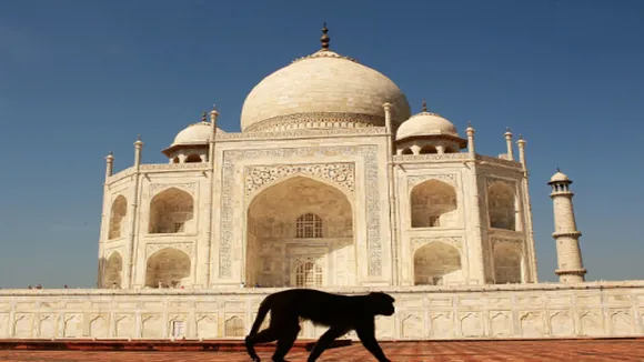 Taj Mahal