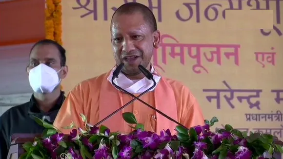 yogi