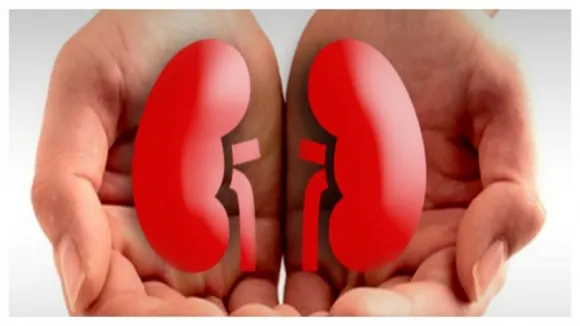 kidney day