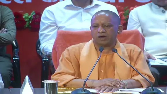 yogi